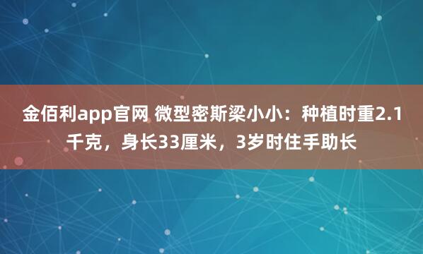 金佰利app官网 微型密斯梁小小：种植时重2.1千克，身长33厘米，3岁时住手助长