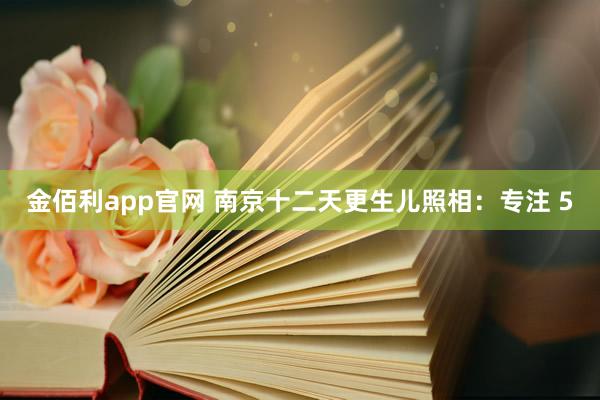 金佰利app官网 南京十二天更生儿照相：专注 5