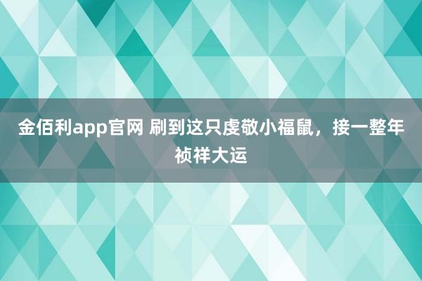 金佰利app官网 刷到这只虔敬小福鼠，接一整年祯祥大运