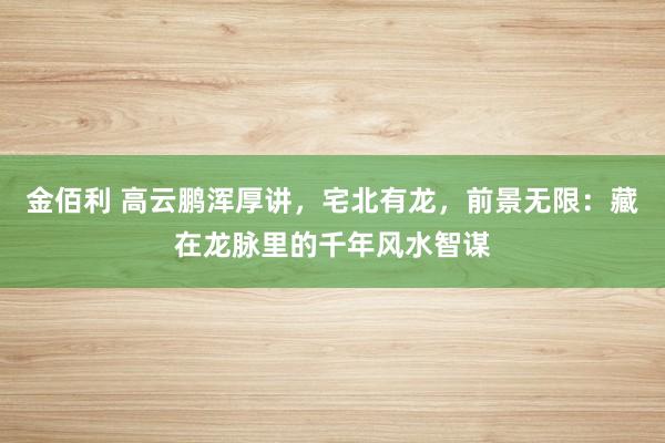 金佰利 高云鹏浑厚讲，宅北有龙，前景无限：藏在龙脉里的千年风水智谋