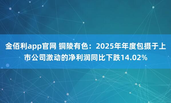 金佰利app官网 铜陵有色：2025年年度包摄于上市公司激动的净利润同比下跌14.02%